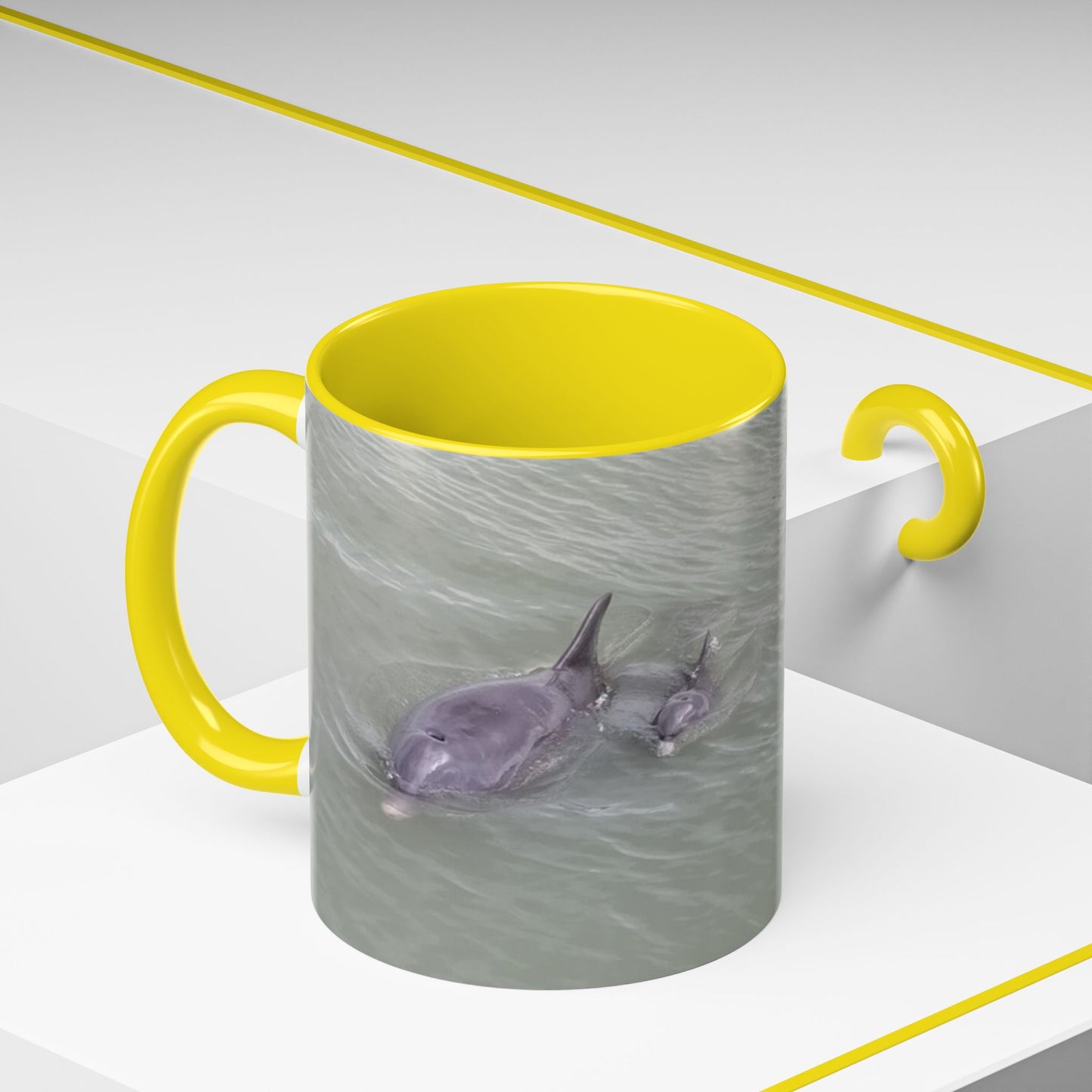 Coffee Mug - Mom and Baby Dolphin at Robert's Point Park