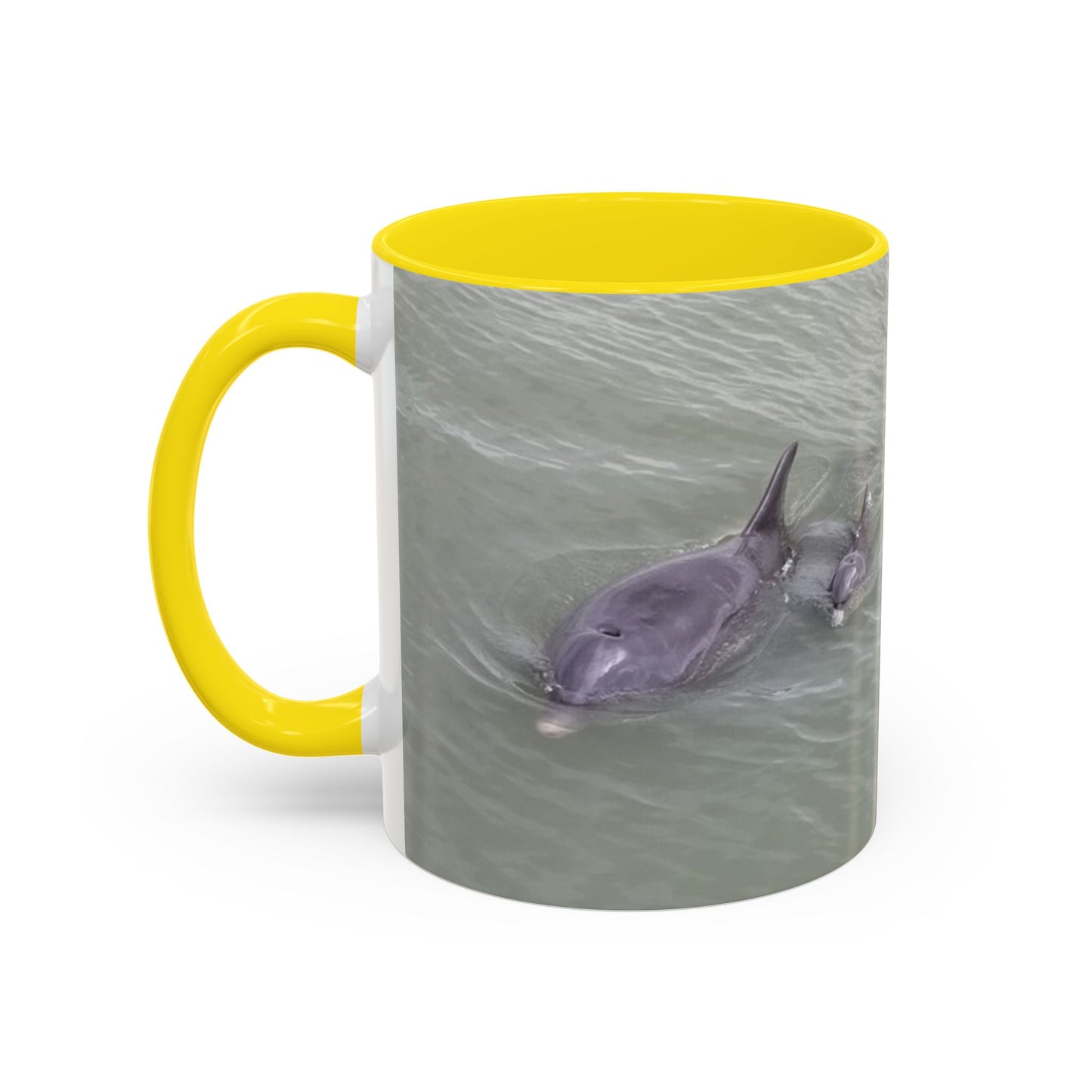 Coffee Mug - Mom and Baby Dolphin at Robert's Point Park