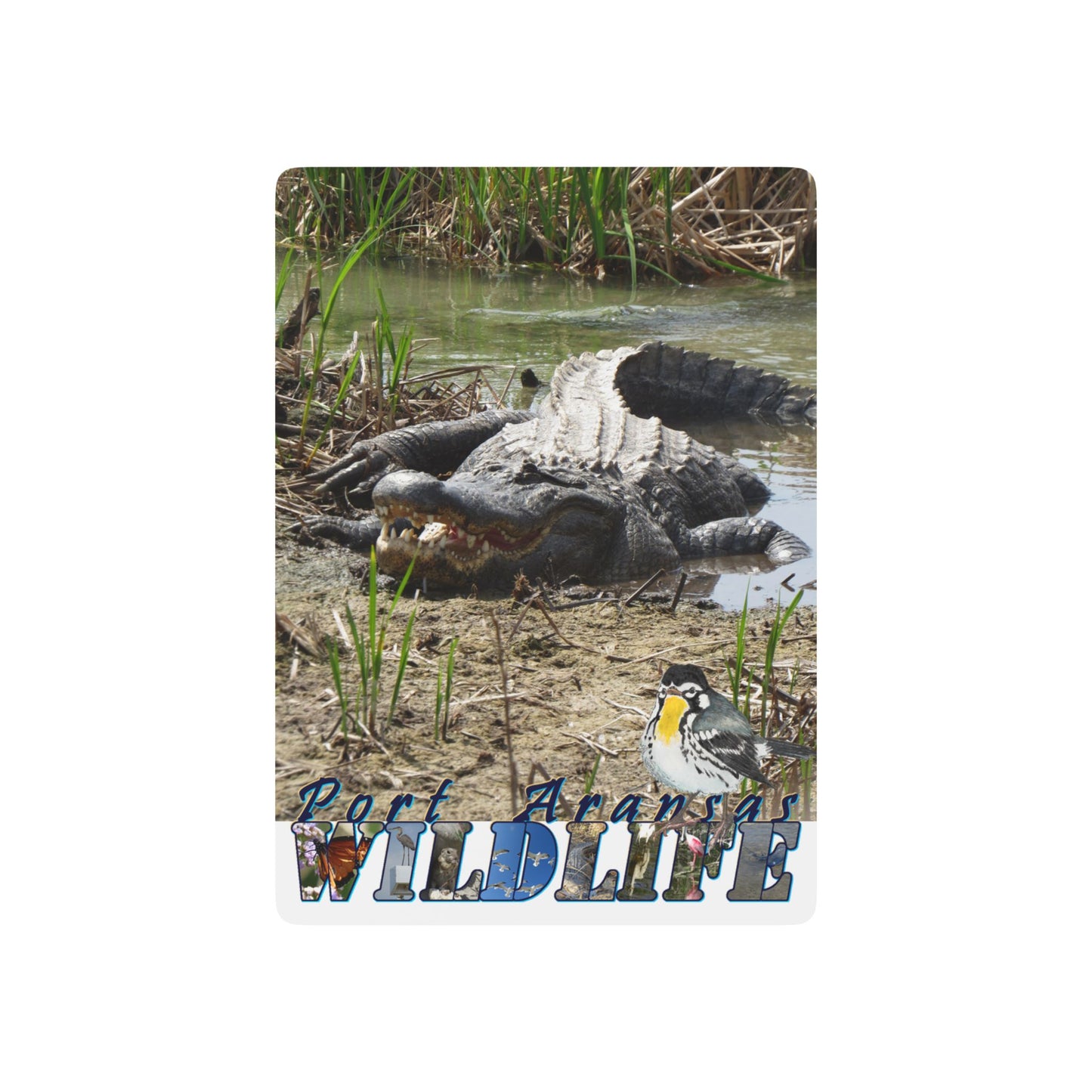Playing Cards - Boots the Alligator Port Aransas Wildlife Poker
