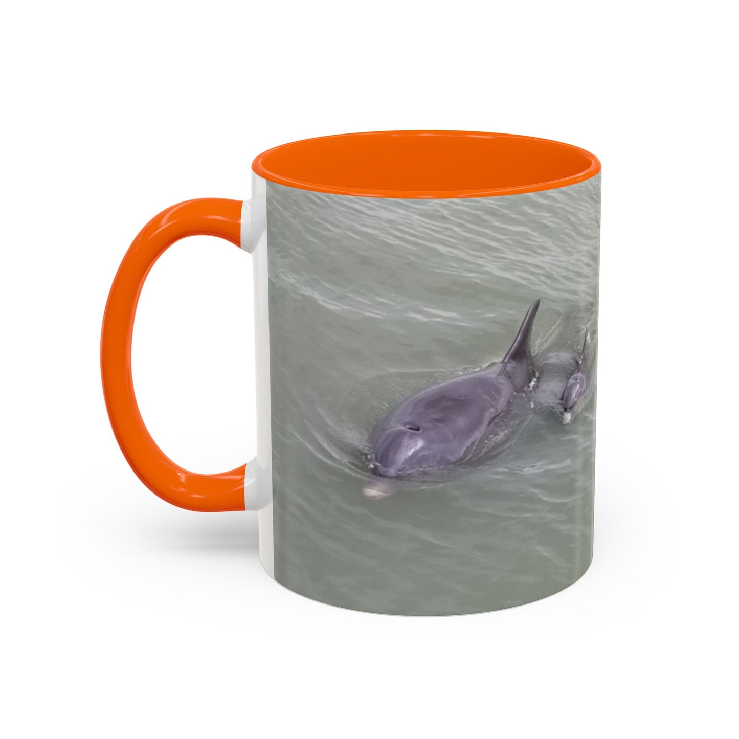 Coffee Mug - Mom and Baby Dolphin at Robert's Point Park
