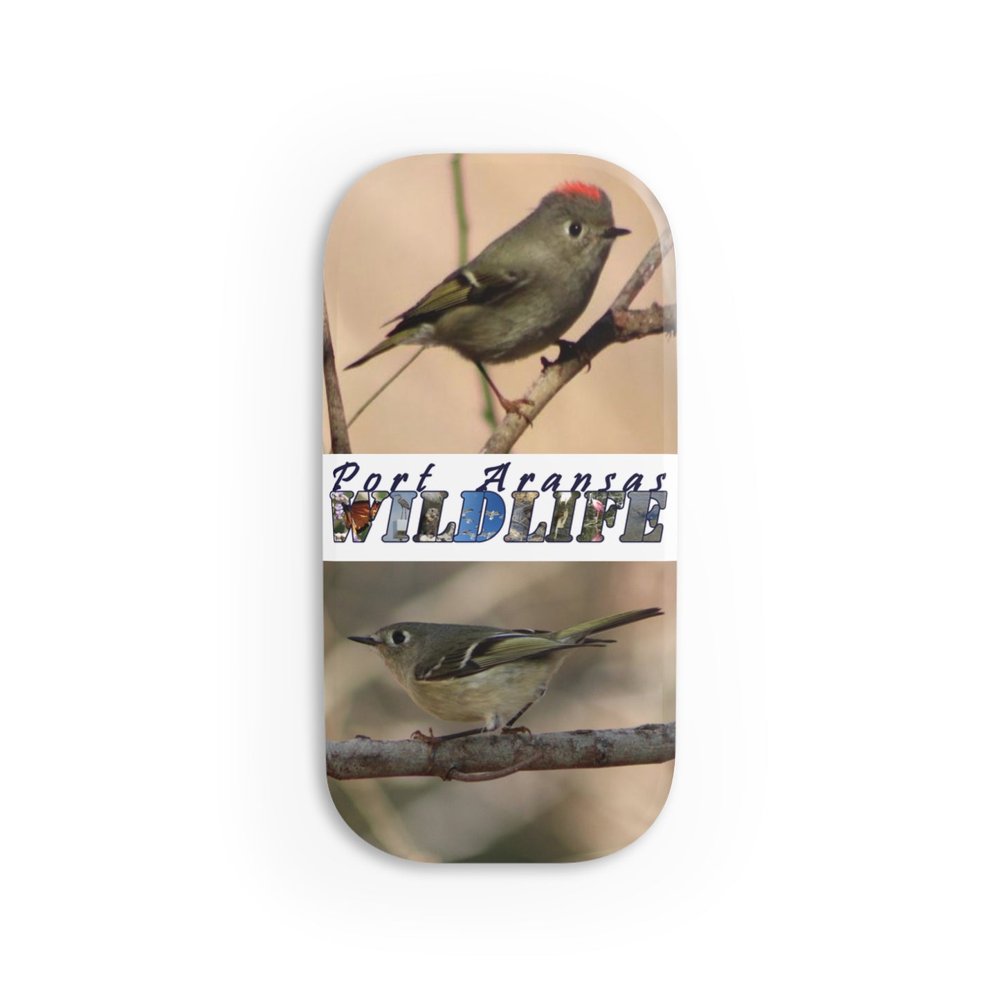 Ruby-crowned Kinglets Port Aransas Wildlife Phone Click-On Grip