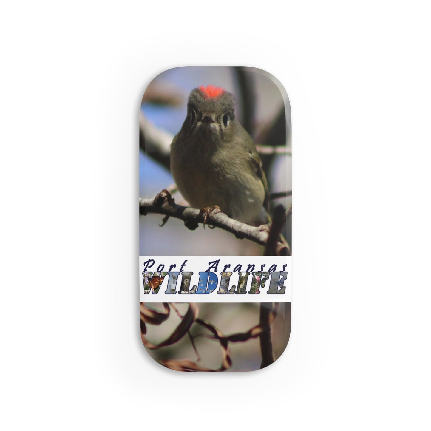 Ruby-crowned Kinglet Port Aransas Wildlife Phone Click-On Grip