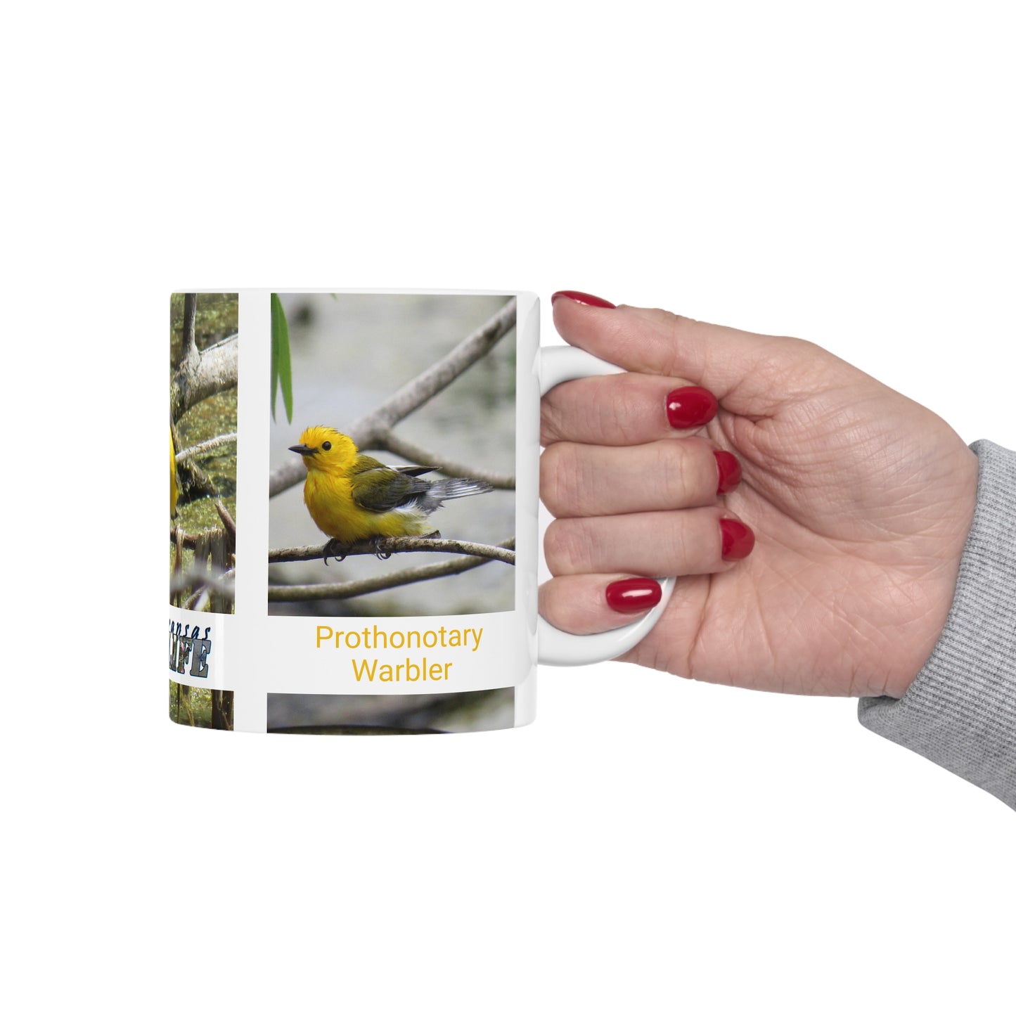 Wonderful Warblers Collection ♥ Prothonotary Warbler ♥ Ceramic Mug 11oz