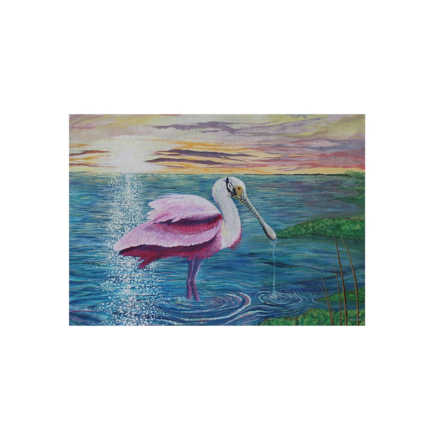 Spoonbill in the Sun Port Aransas Wildlife Outdoor Rug