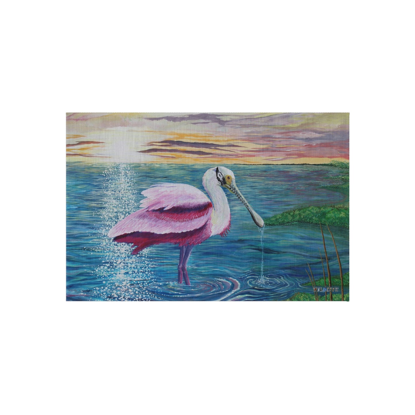 Spoonbill in the Sun Port Aransas Wildlife Outdoor Rug