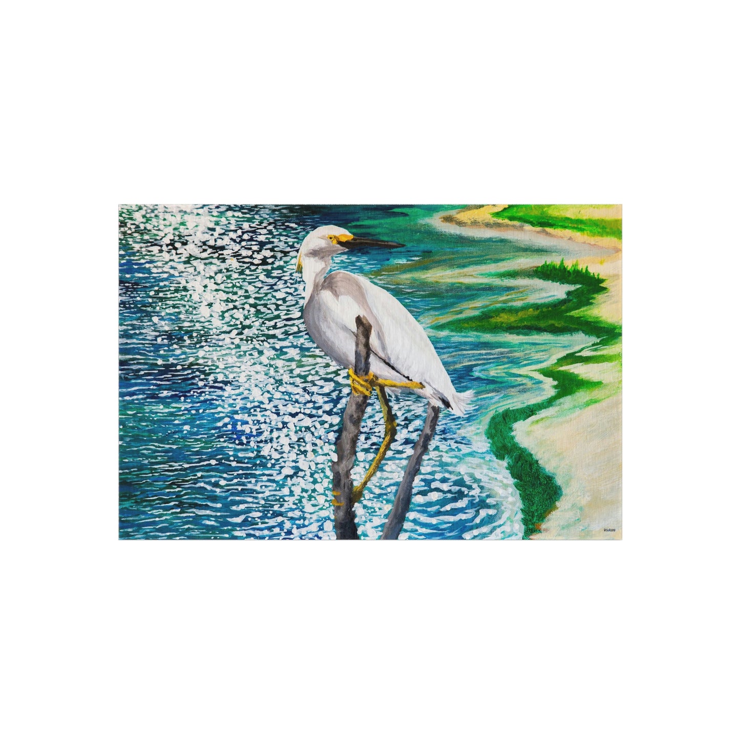 Shorebird in the Sun Outdoor Rug