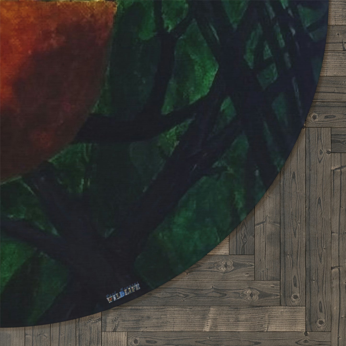 Oriole and an Orange Port Aransas Wildlife Artistic Round Area Rug