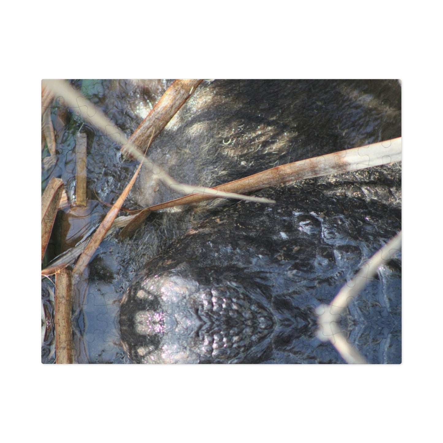 Boots ♥ Port Aransas Wildlife Jigsaw Puzzle (30, 110, 252, 500,1000-Piece)