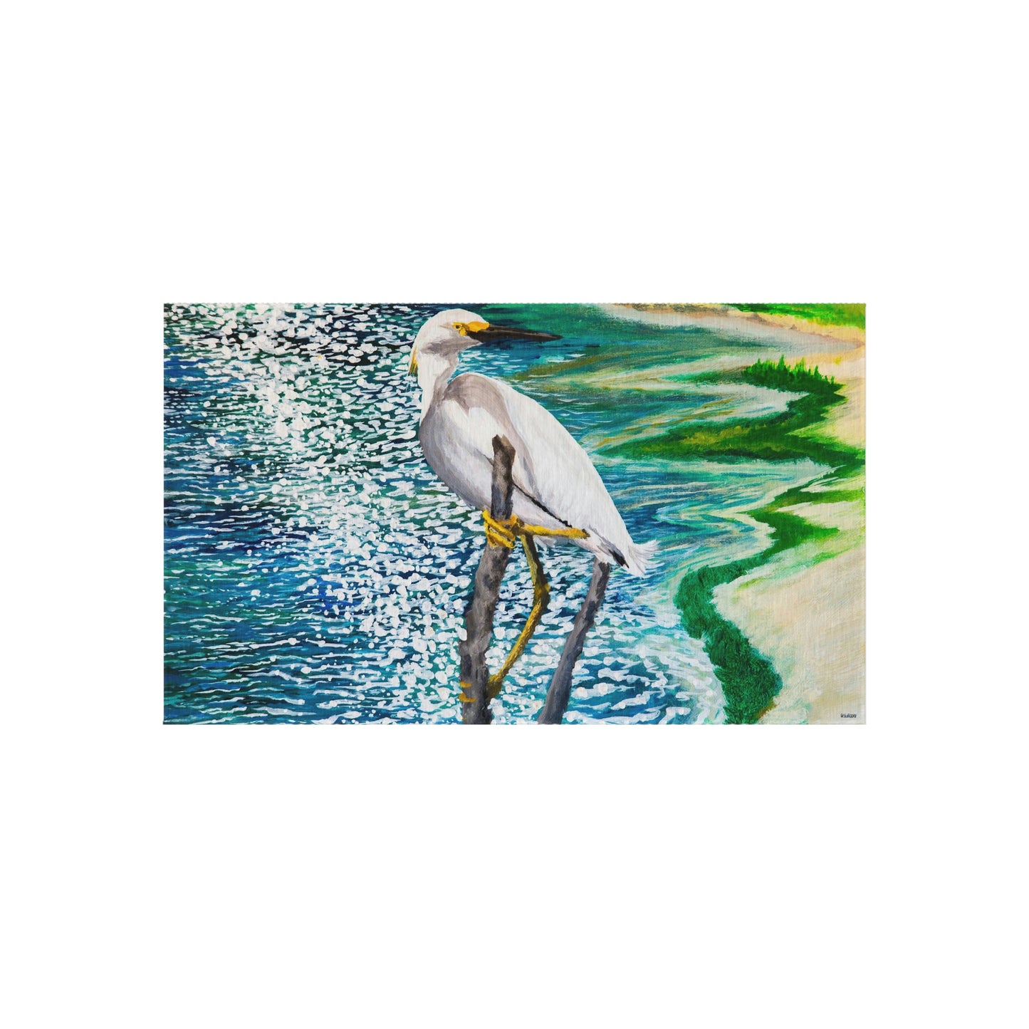 Shorebird in the Sun Outdoor Rug