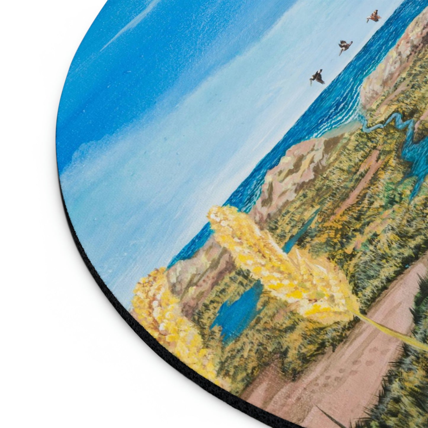 Beachlife in Paradise Port Aransas Wildlife Mouse Pad