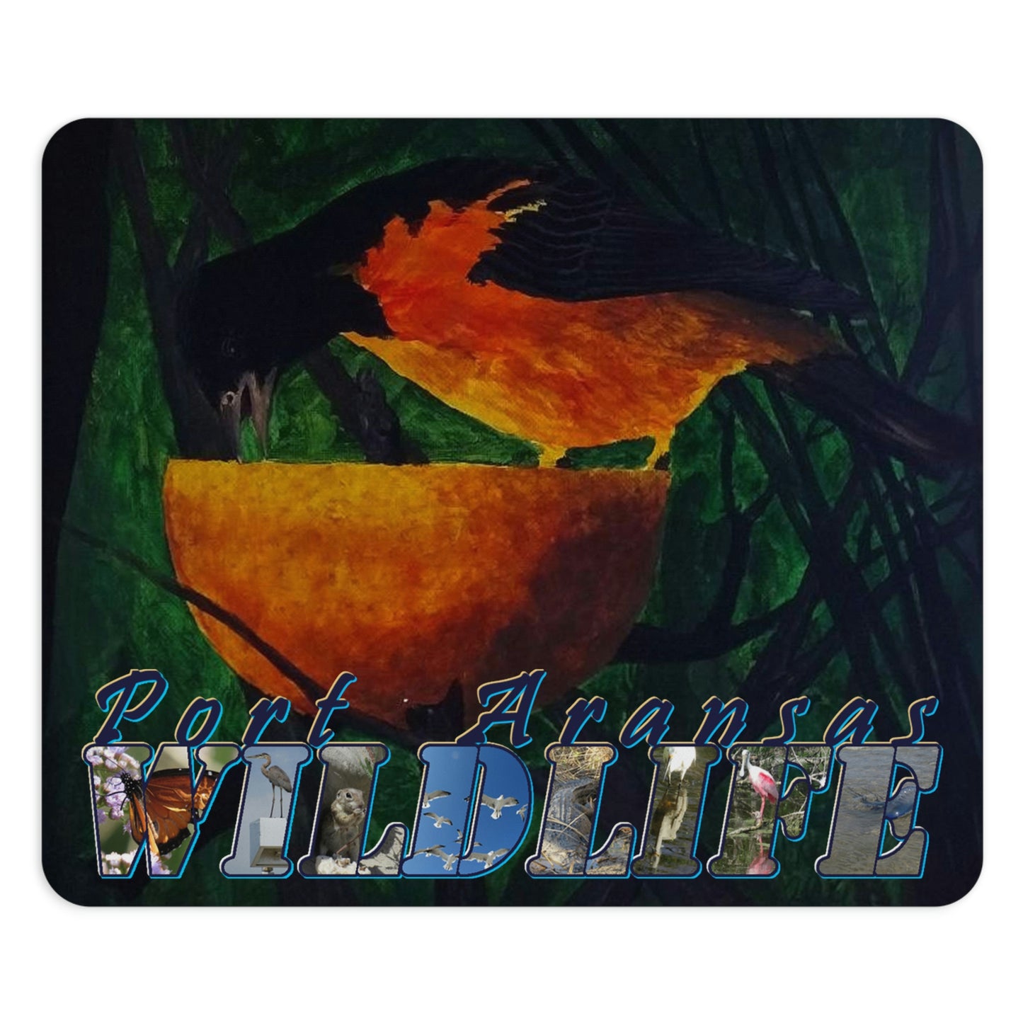 Oriole with an Orange Port Aransas Wildlife Mouse Pad