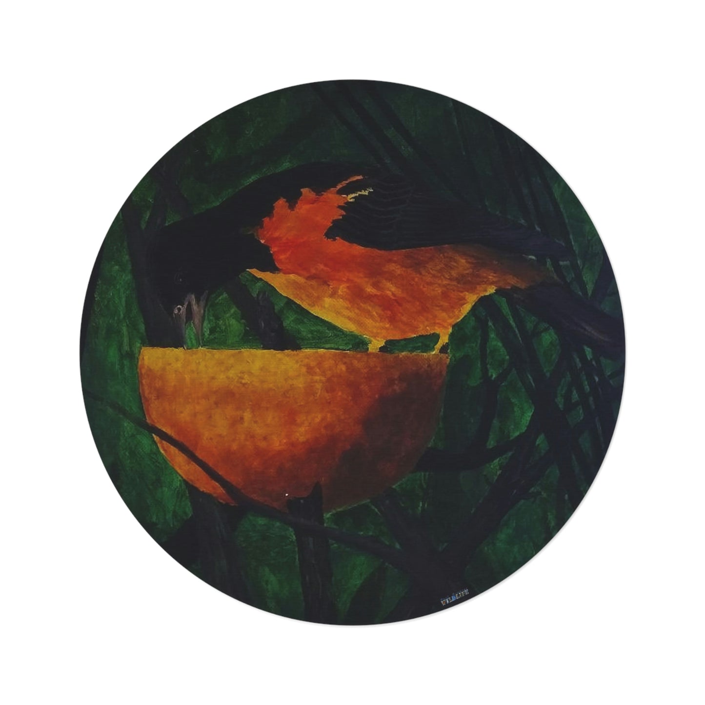 Oriole and an Orange Port Aransas Wildlife Artistic Round Area Rug