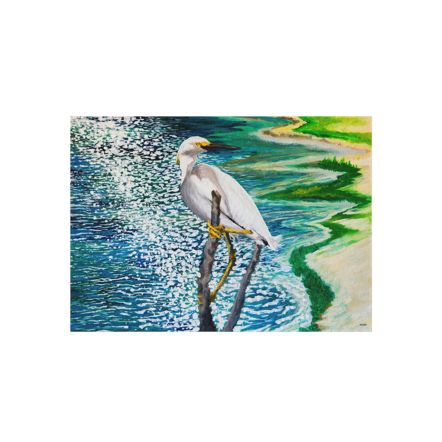 Shorebird in the Sun Outdoor Rug