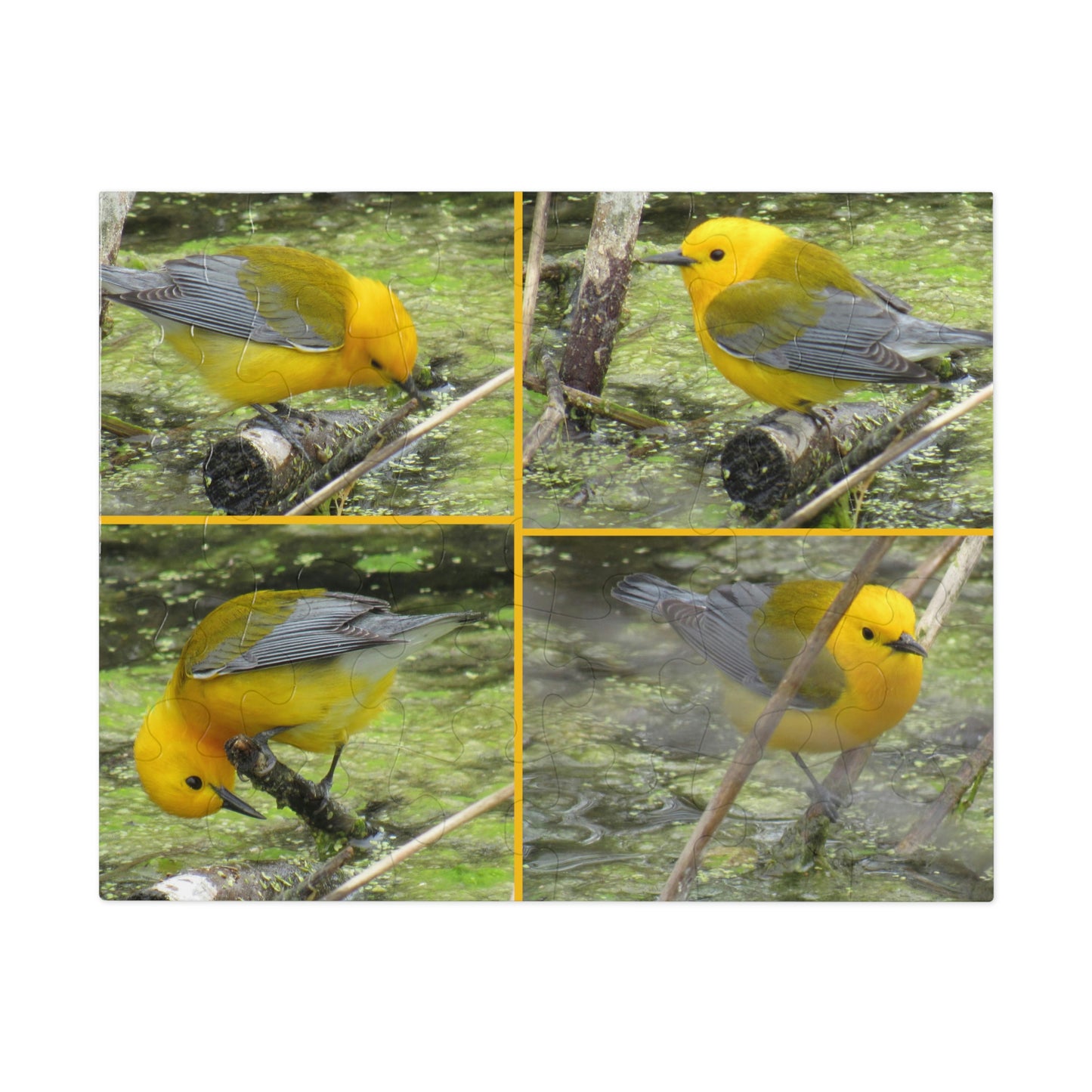 Prothonotary Warblers ♥ Port Aransas Wildlife Jigsaw Puzzle (30, 110, 252, 500,1000-Piece)