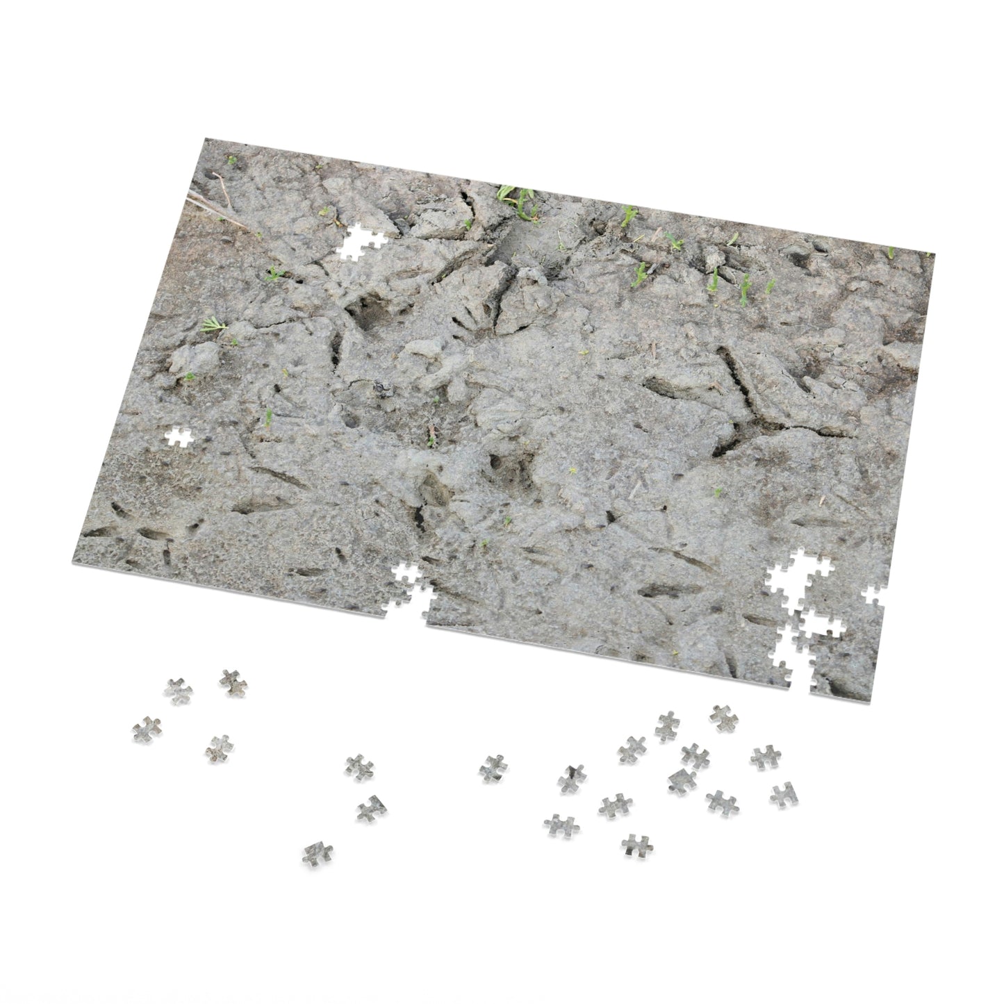 Whooping Crane Footprints at Charlie's Pasture Jigsaw Puzzle (30, 110, 252, 500,1000-Piece)
