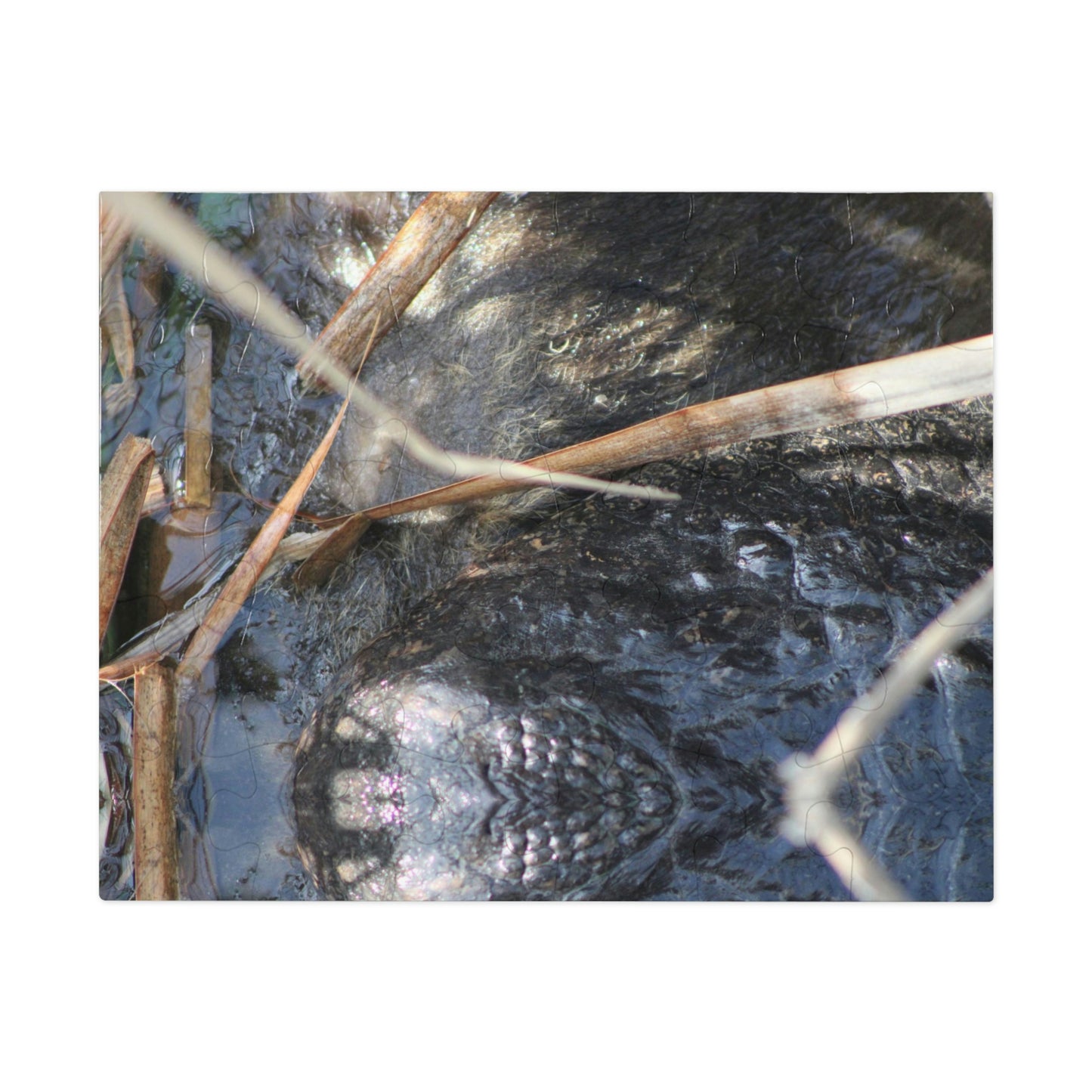 Boots ♥ Port Aransas Wildlife Jigsaw Puzzle (30, 110, 252, 500,1000-Piece)