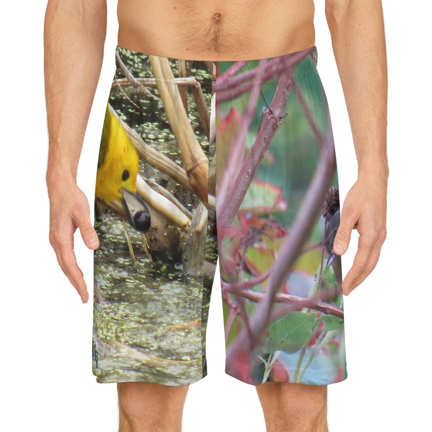 Warblers in Port Aransas Sports Shorts