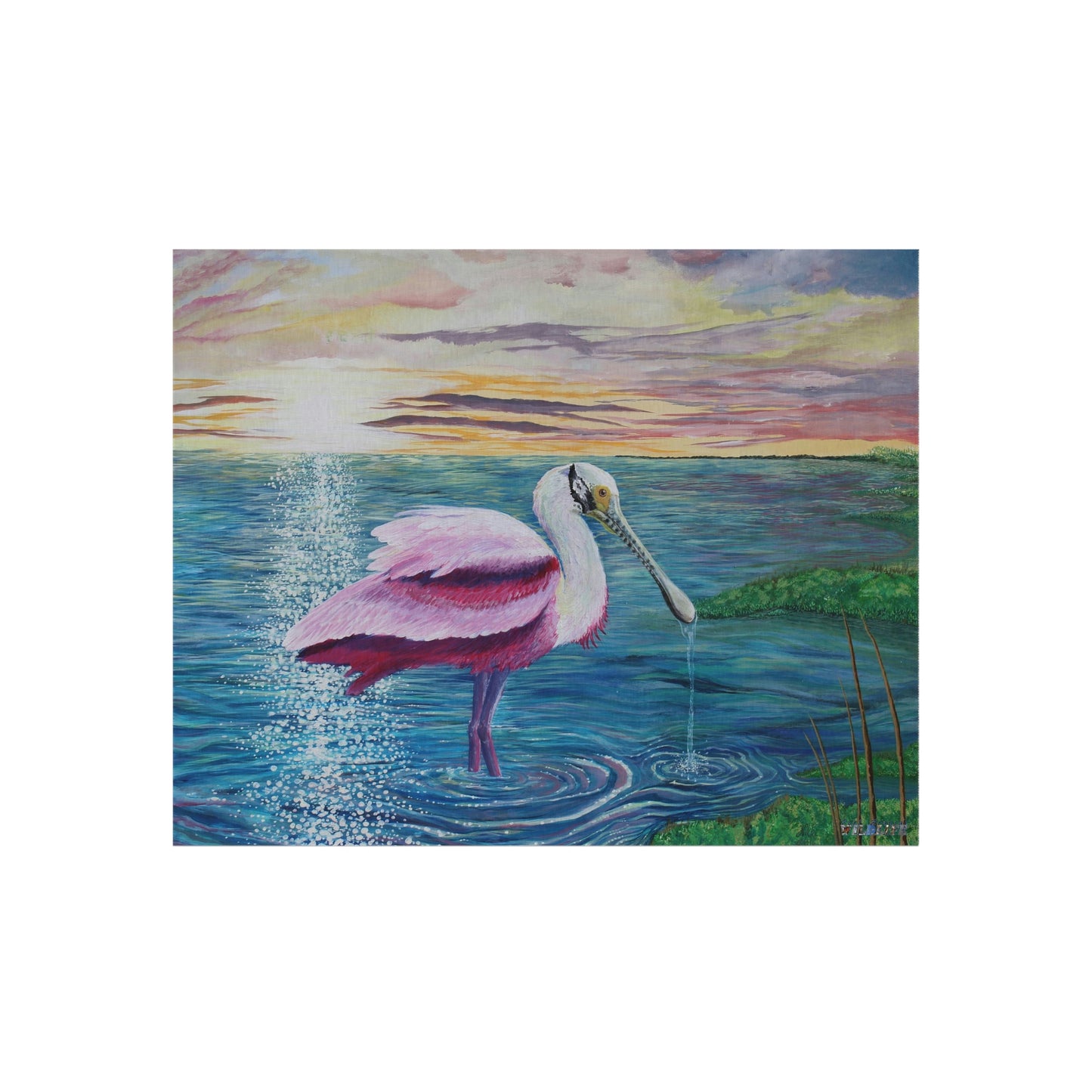 Spoonbill in the Sun Port Aransas Wildlife Outdoor Rug