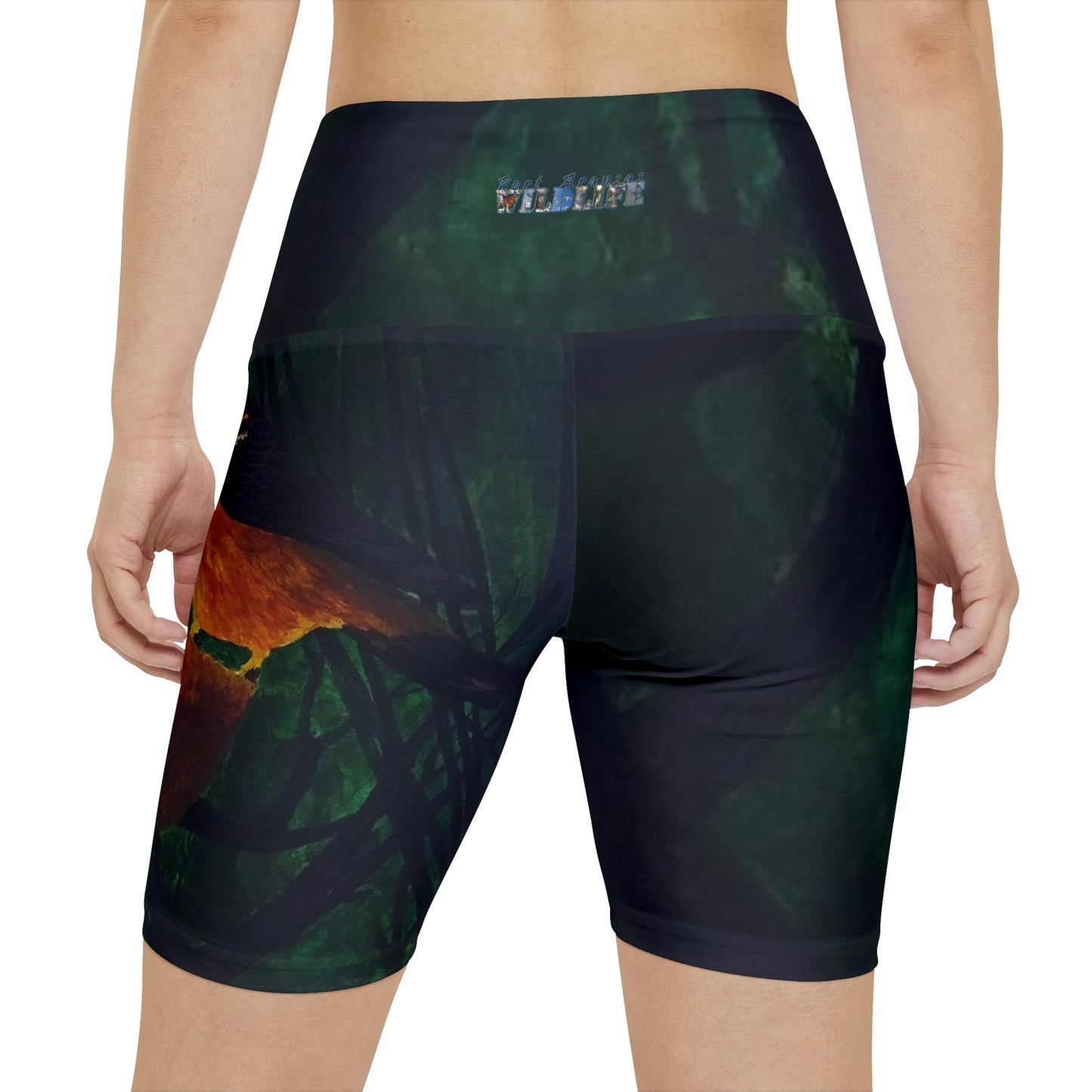 Oriole and an Orange Women's Workout Shorts