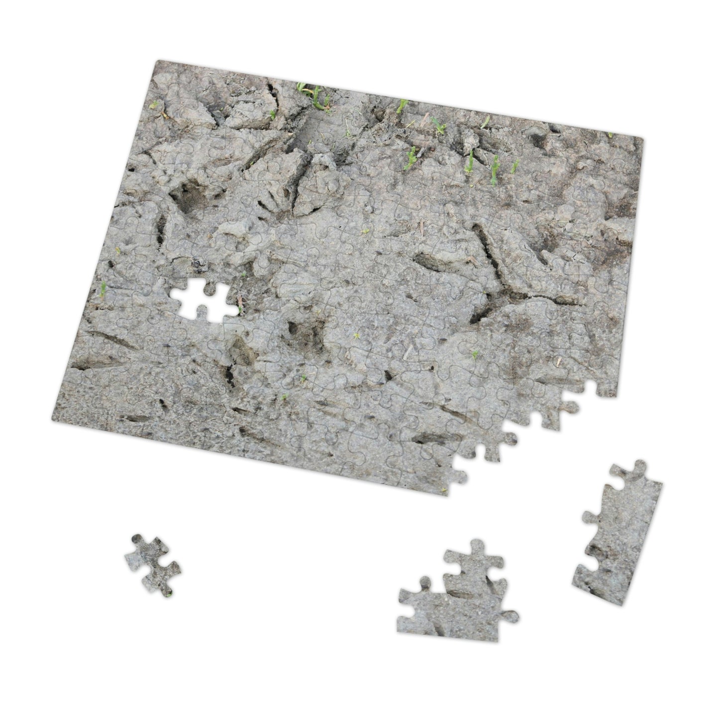 Whooping Crane Footprints at Charlie's Pasture Jigsaw Puzzle (30, 110, 252, 500,1000-Piece)