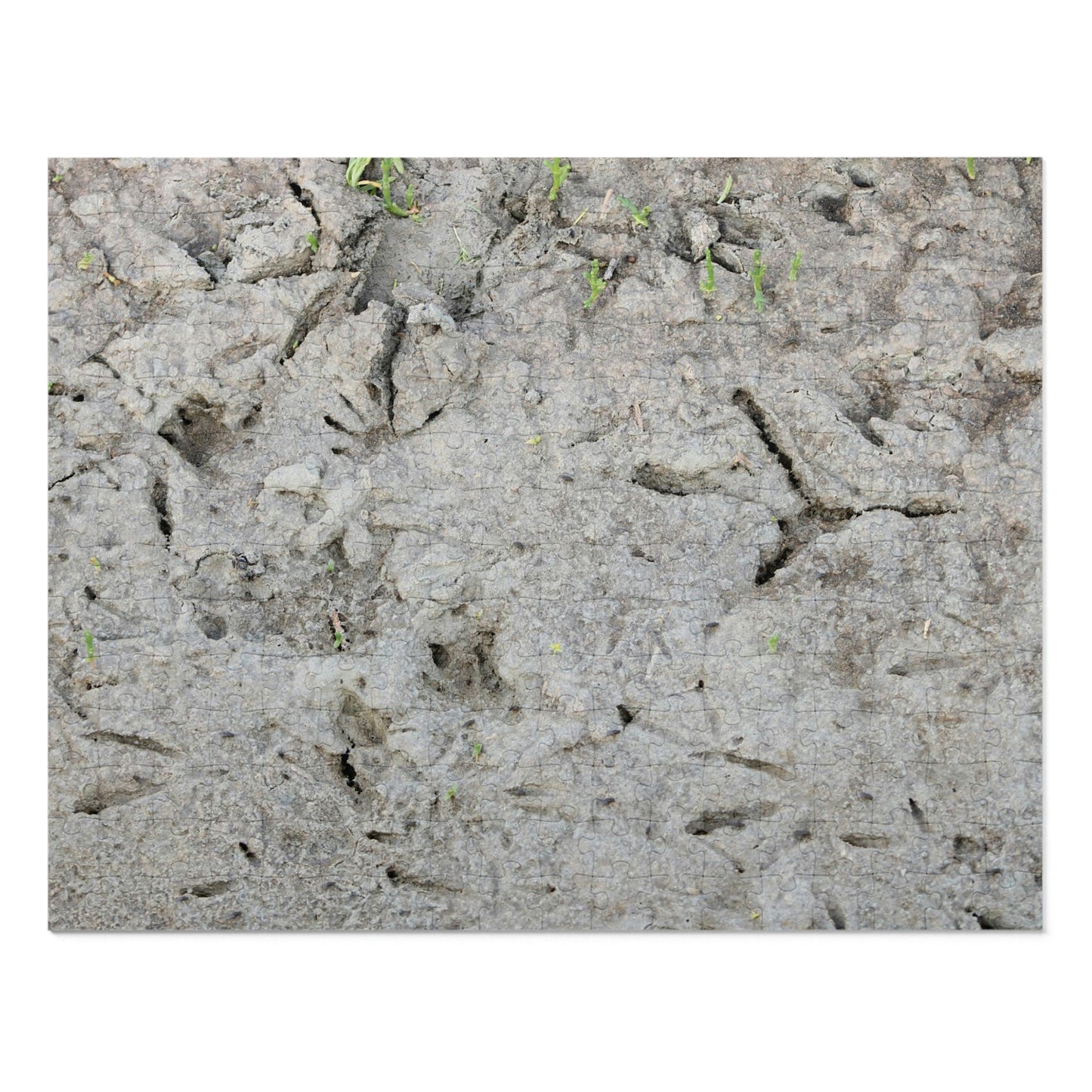 Whooping Crane Footprints at Charlie's Pasture Jigsaw Puzzle (30, 110, 252, 500,1000-Piece)