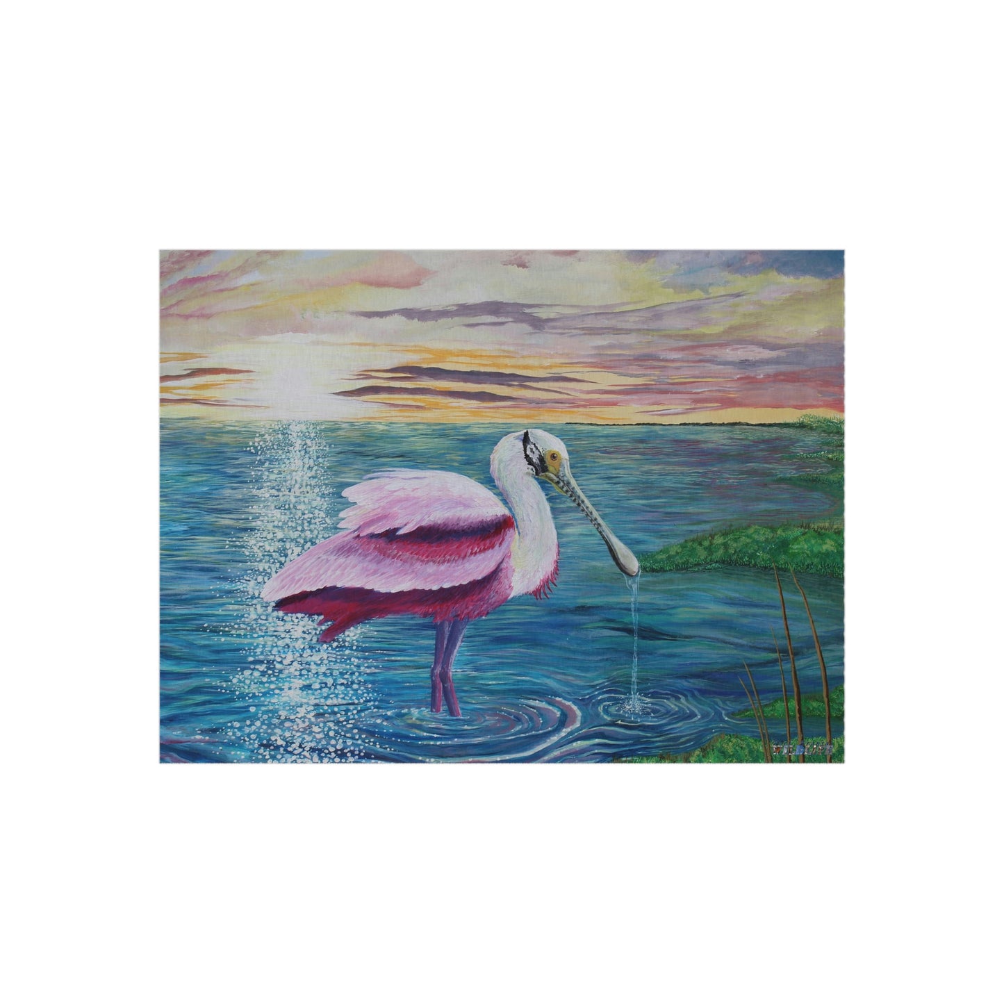 Spoonbill in the Sun Port Aransas Wildlife Outdoor Rug