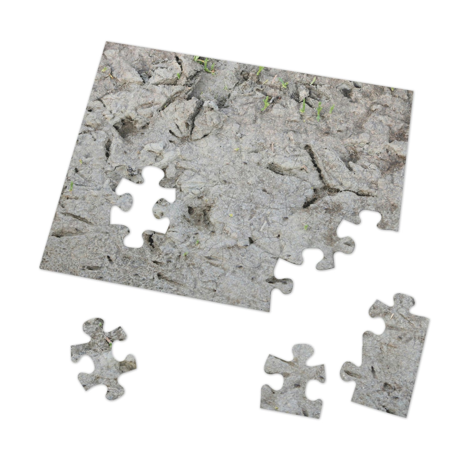 Whooping Crane Footprints at Charlie's Pasture Jigsaw Puzzle (30, 110, 252, 500,1000-Piece)