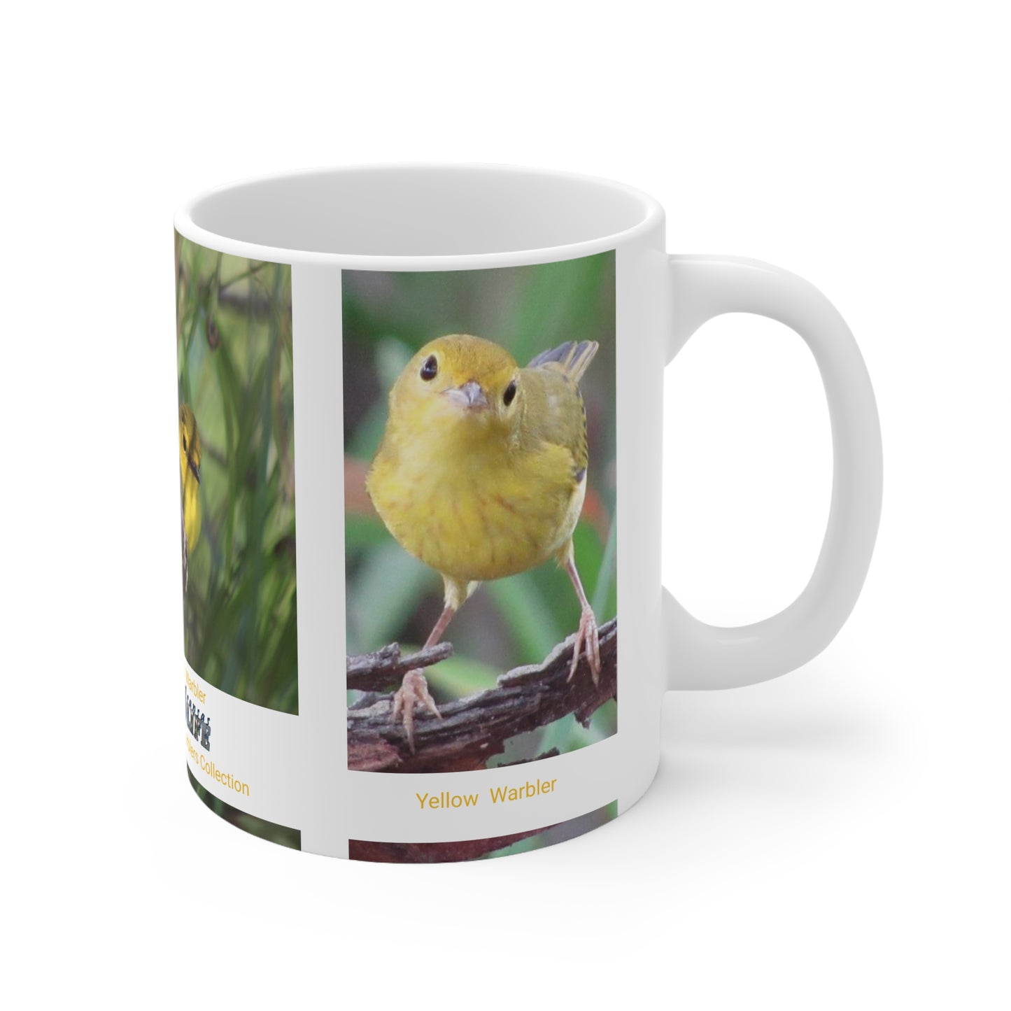 Wonderful Warblers Collection ♥ Warblers in the Spring ♥ Ceramic Mug 11oz