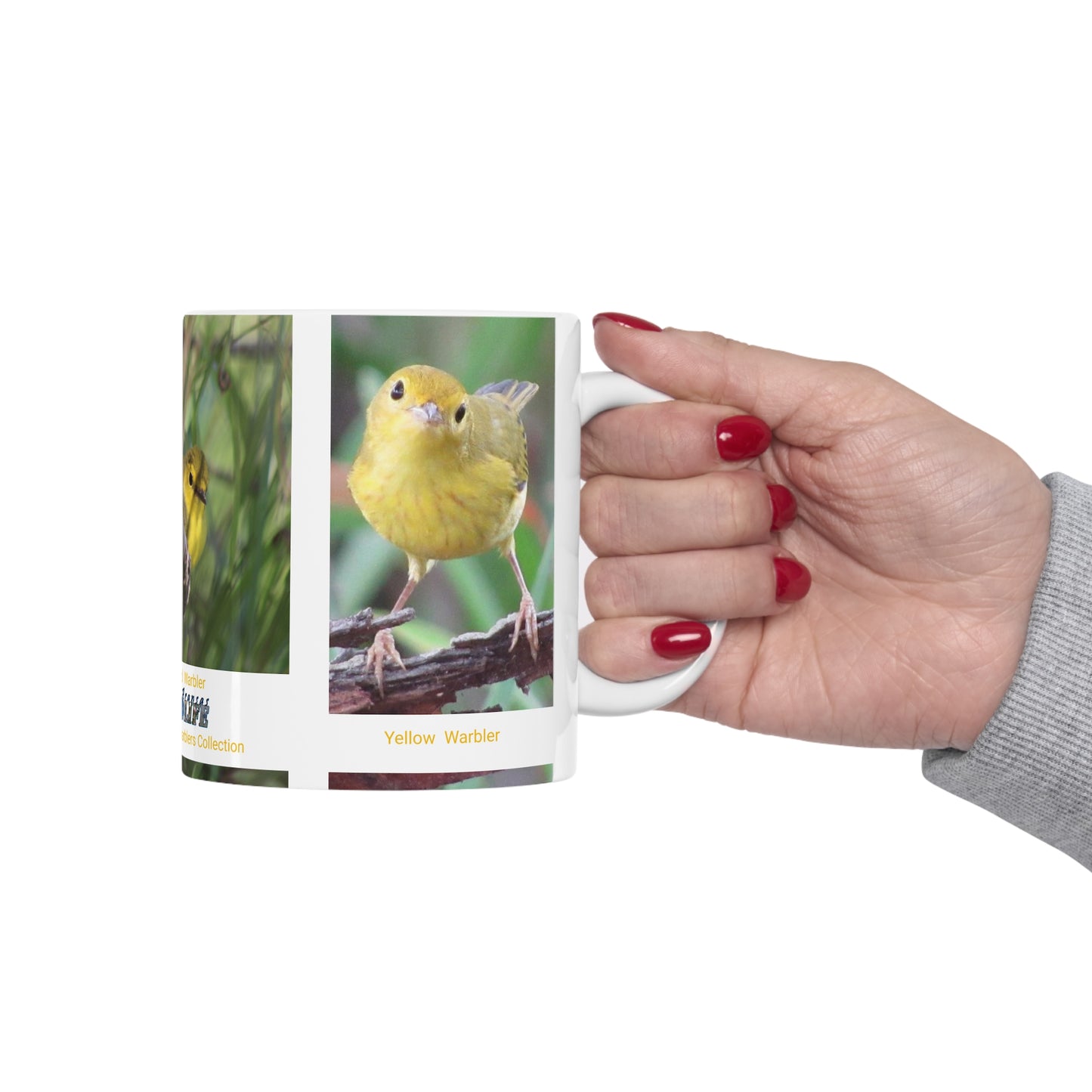 Wonderful Warblers Collection ♥ Warblers in the Spring ♥ Ceramic Mug 11oz