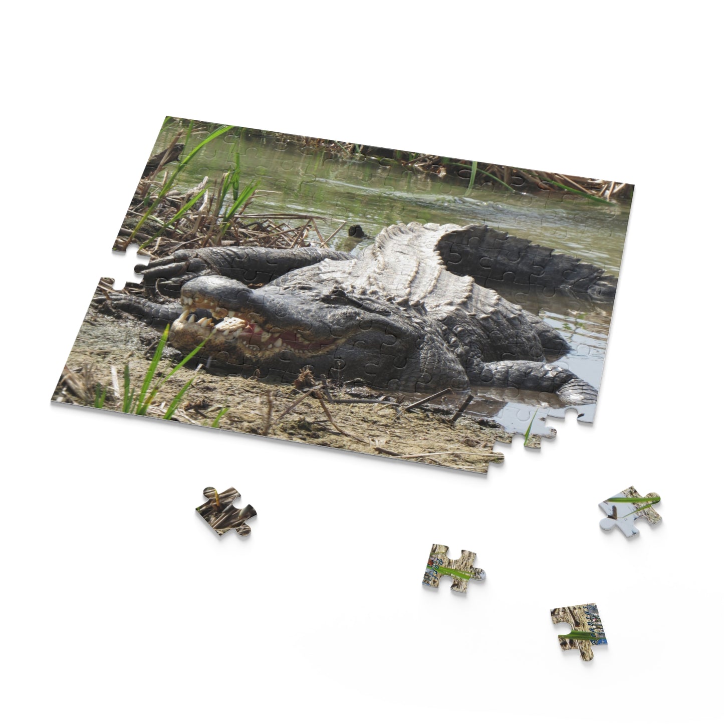 Boots the Aligator In Port Aransas Puzzle (120, 252, 500-Piece)