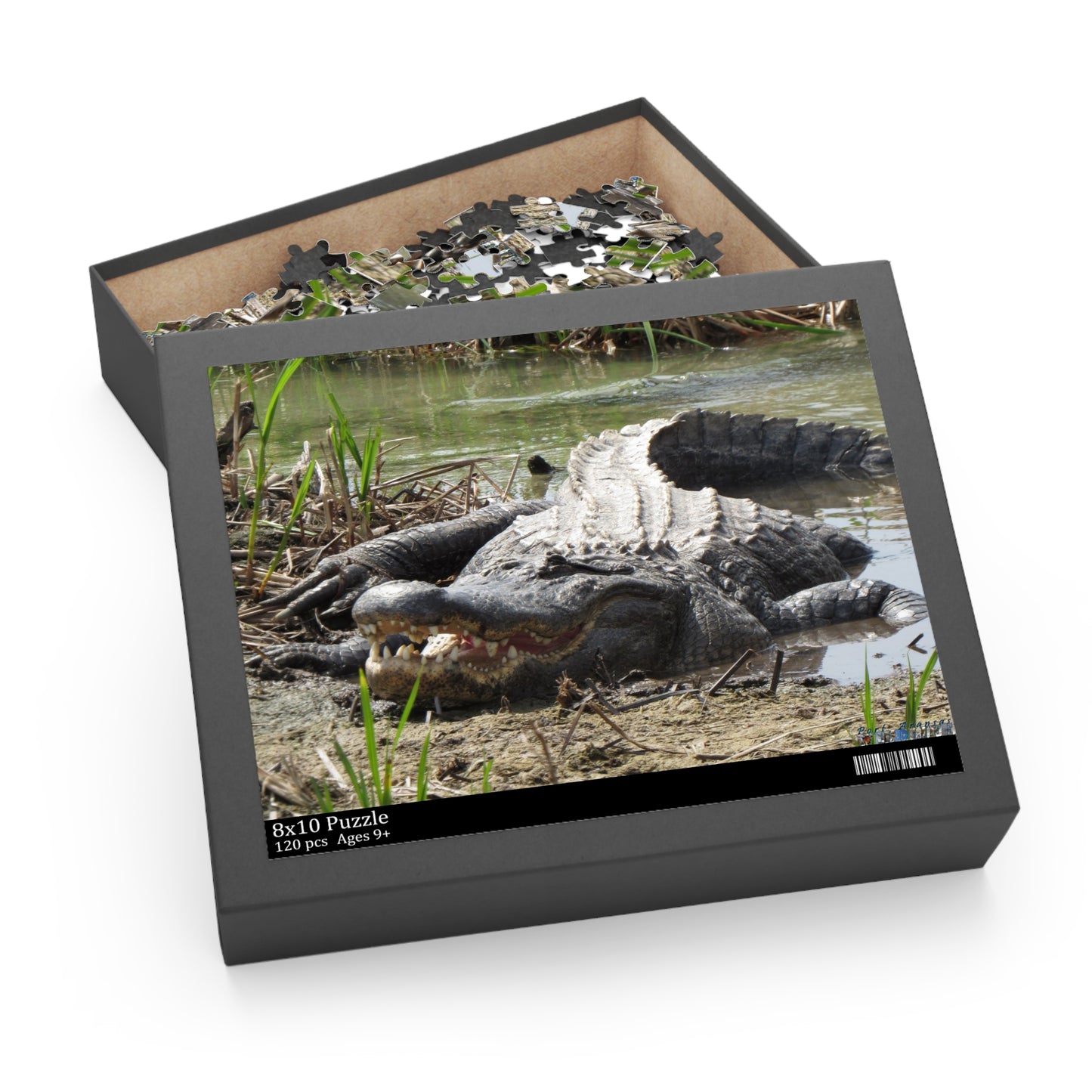 Boots the Aligator In Port Aransas Puzzle (120, 252, 500-Piece)