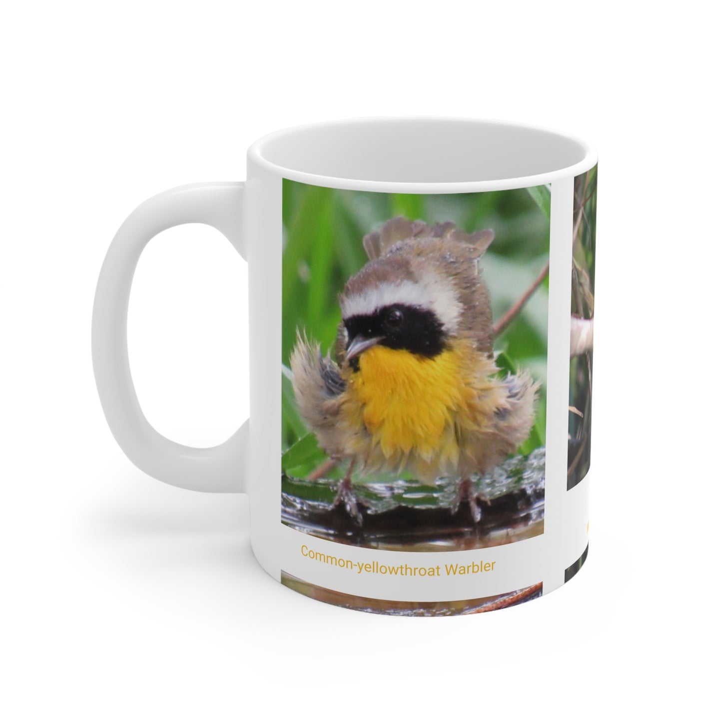 Wonderful Warblers Collection ♥ Warblers in the Spring ♥ Ceramic Mug 11oz