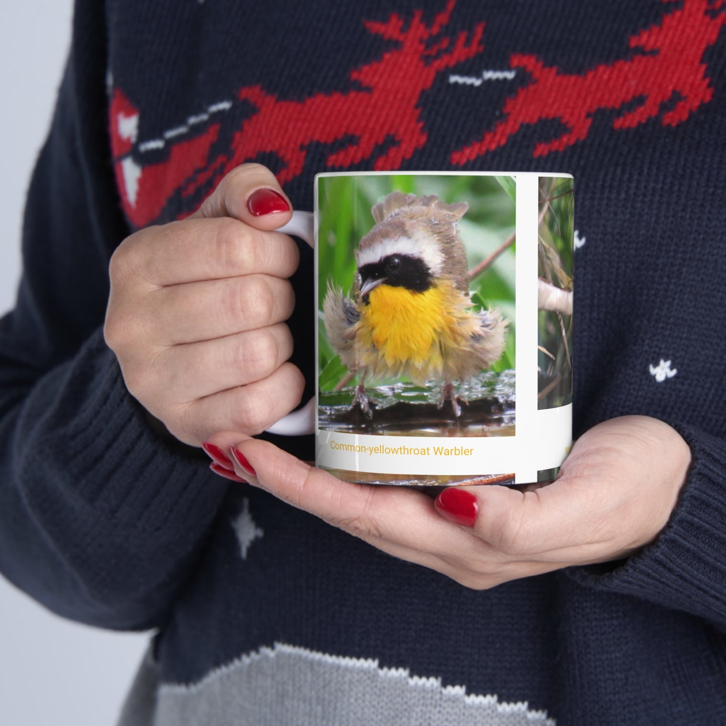 Wonderful Warblers Collection ♥ Warblers in the Spring ♥ Ceramic Mug 11oz