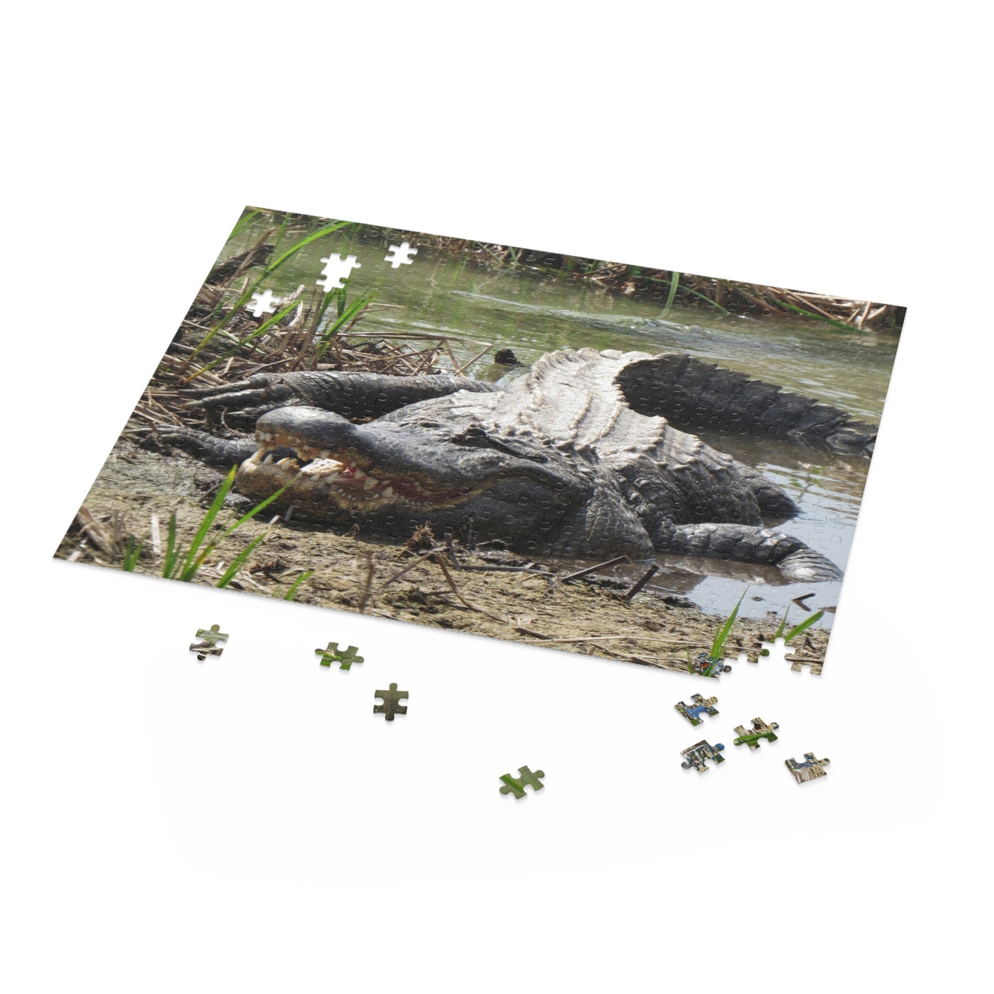 Boots the Aligator In Port Aransas Puzzle (120, 252, 500-Piece)