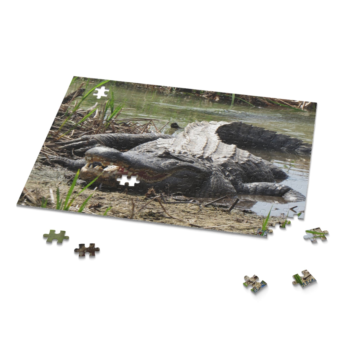 Boots the Aligator In Port Aransas Puzzle (120, 252, 500-Piece)