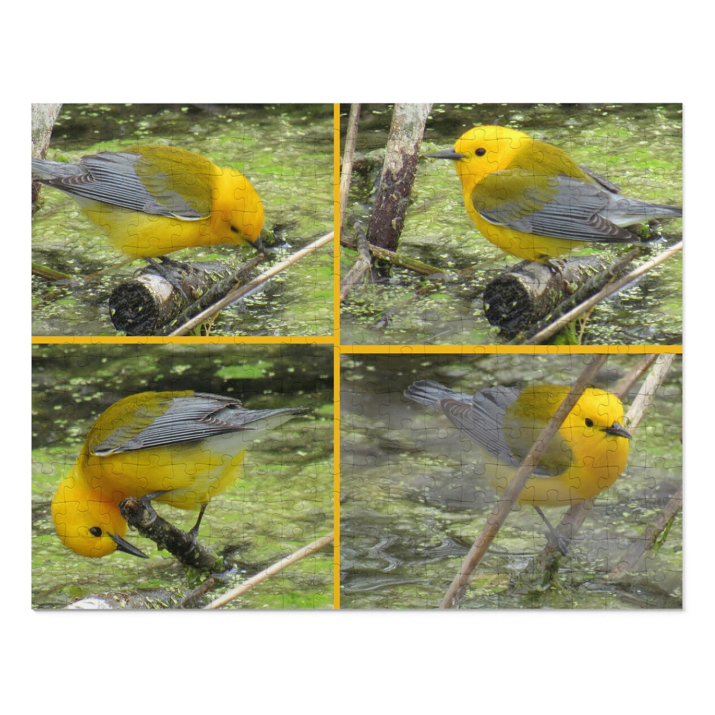 Prothonotary Warblers ♥ Port Aransas Wildlife Jigsaw Puzzle (30, 110, 252, 500,1000-Piece)