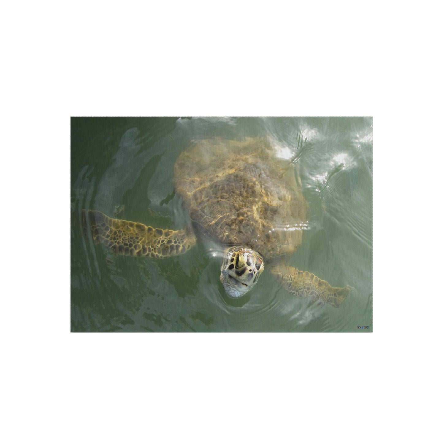 Sea Turtle in Port Aransas Wildlife Outdoor Rug