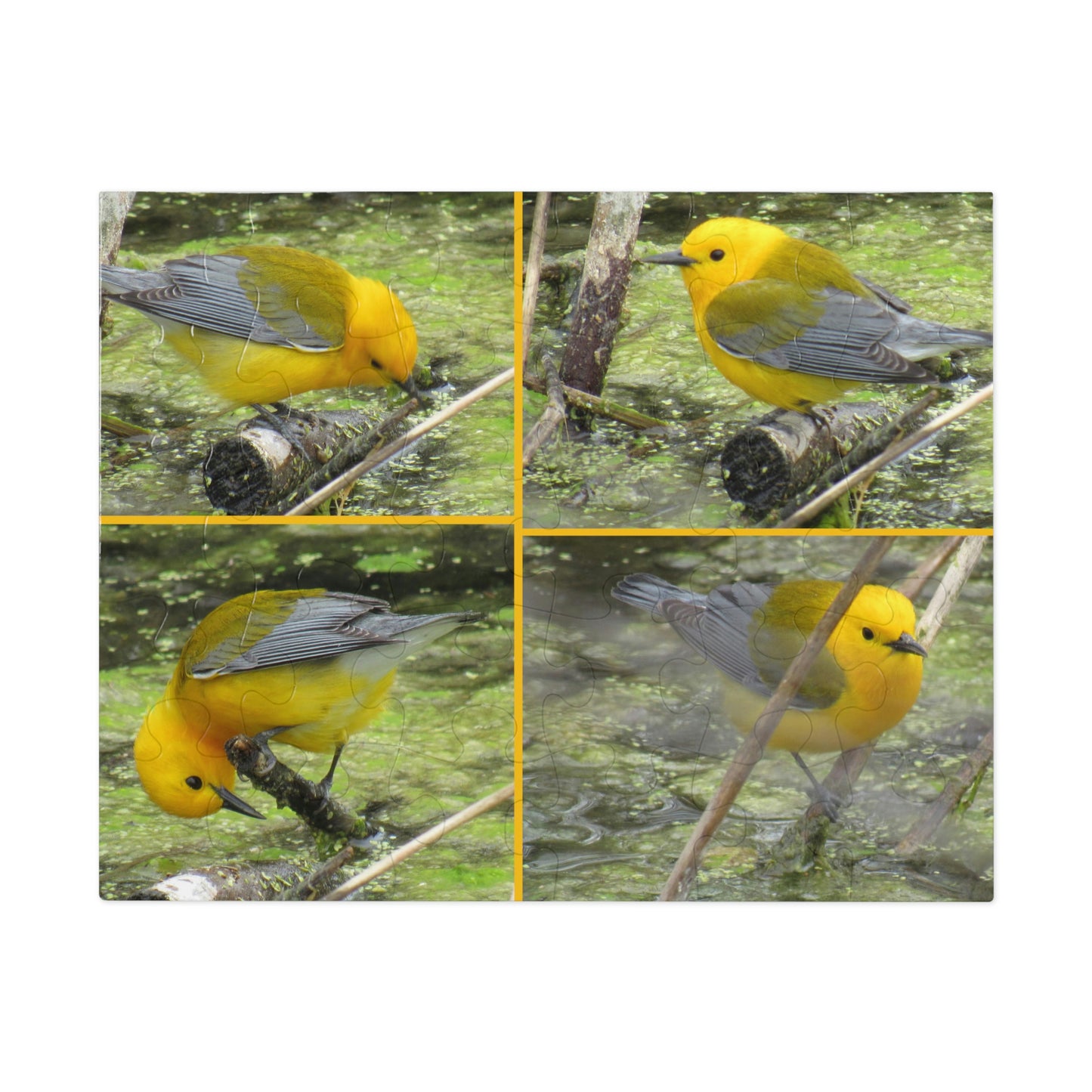 Prothonotary Warblers ♥ Port Aransas Wildlife Jigsaw Puzzle (30, 110, 252, 500,1000-Piece)