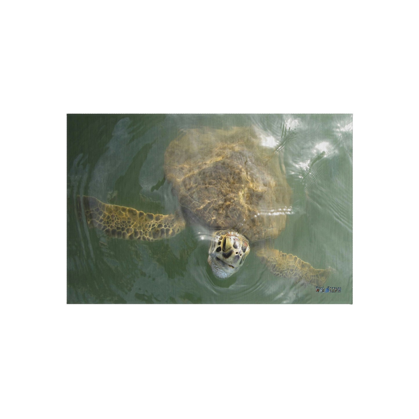 Sea Turtle in Port Aransas Wildlife Outdoor Rug