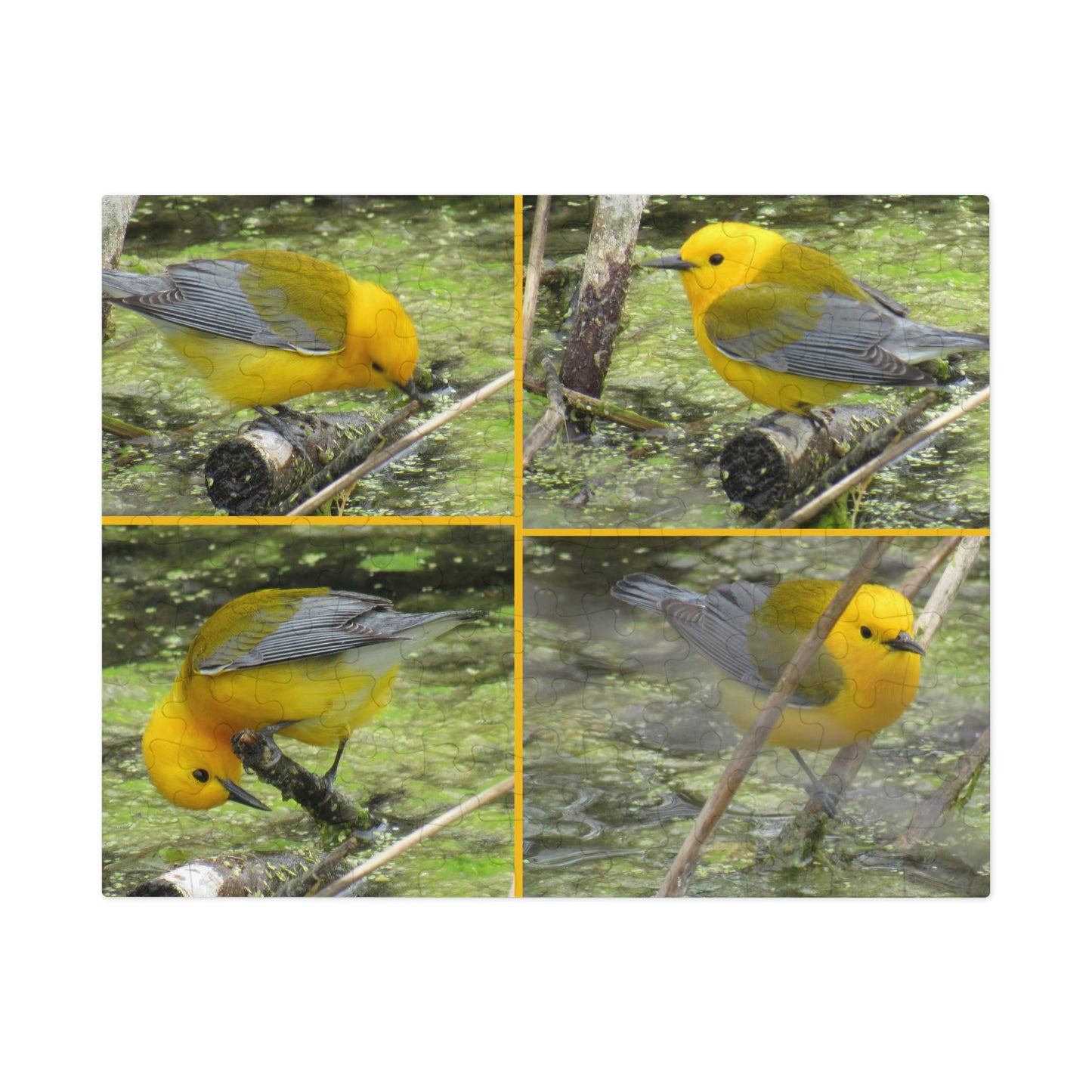 Prothonotary Warblers ♥ Port Aransas Wildlife Jigsaw Puzzle (30, 110, 252, 500,1000-Piece)