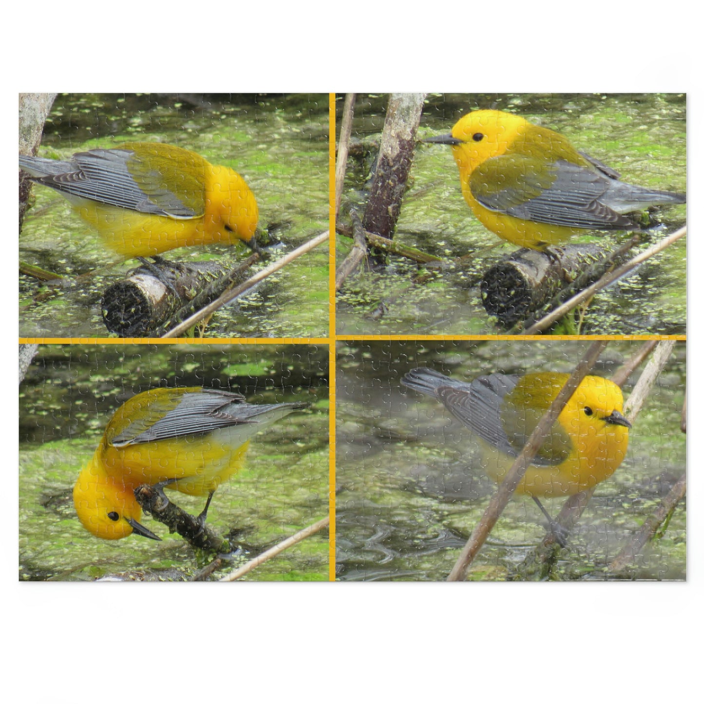 Prothonotary Warblers ♥ Port Aransas Wildlife Jigsaw Puzzle (30, 110, 252, 500,1000-Piece)