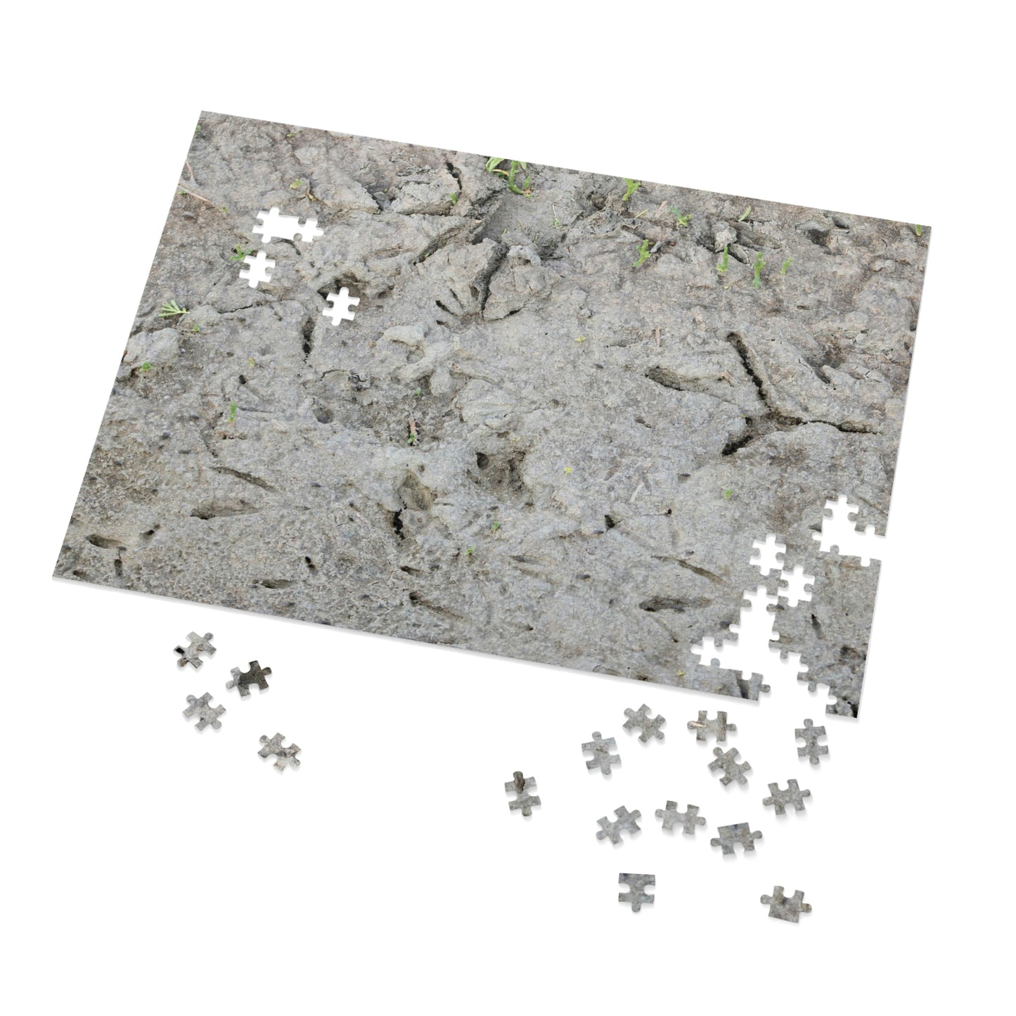 Whooping Crane Footprints at Charlie's Pasture Jigsaw Puzzle (30, 110, 252, 500,1000-Piece)