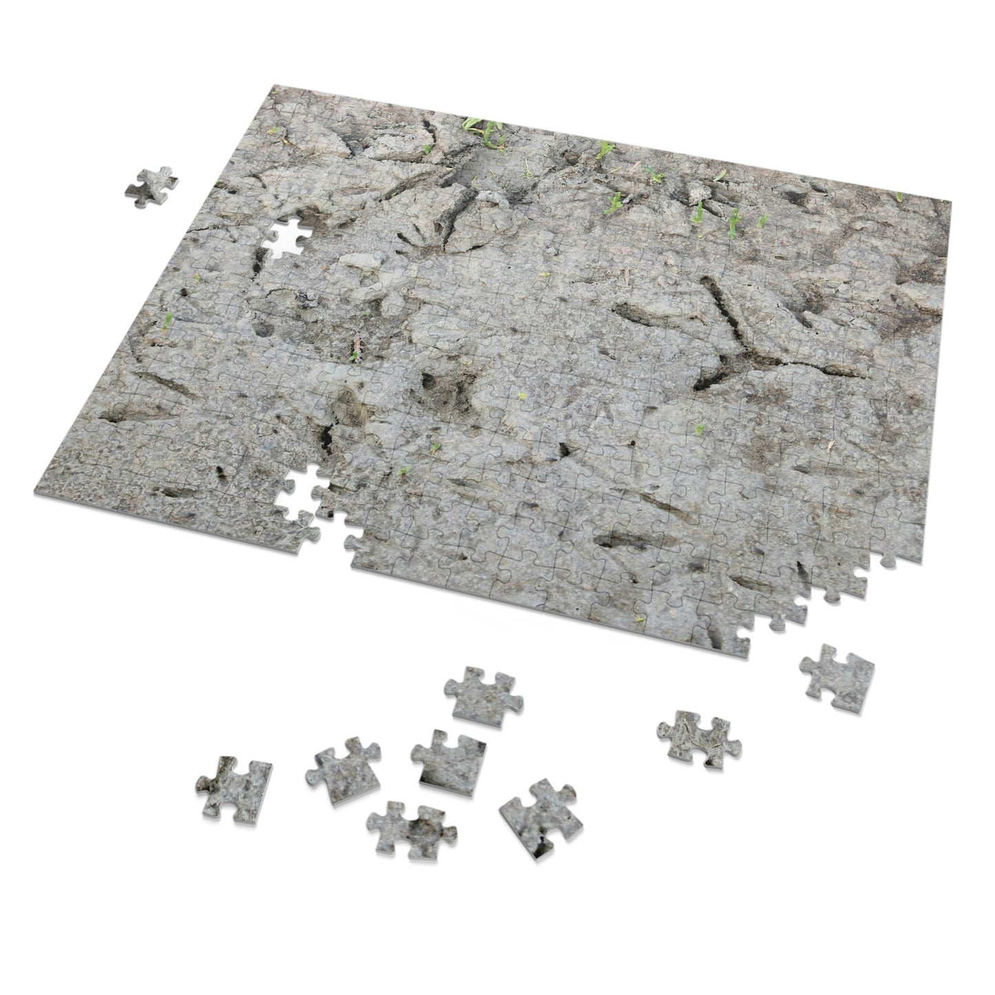 Whooping Crane Footprints at Charlie's Pasture Jigsaw Puzzle (30, 110, 252, 500,1000-Piece)